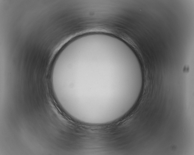 X0000111610436200907171043