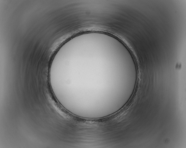 X0000111610437200907171043