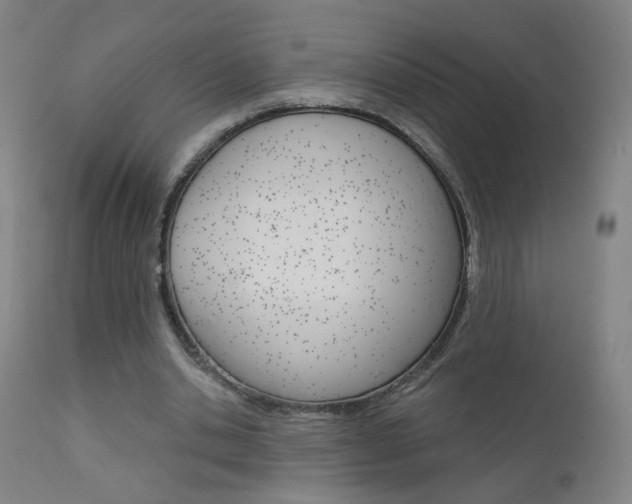 X0000111610438200907171043