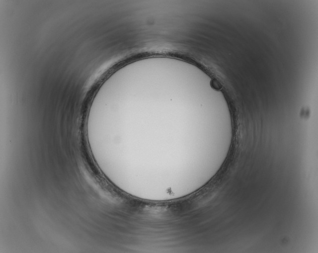 X0000111610440200907171043