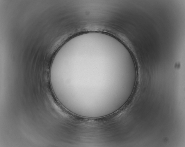 X0000111610441200907171043