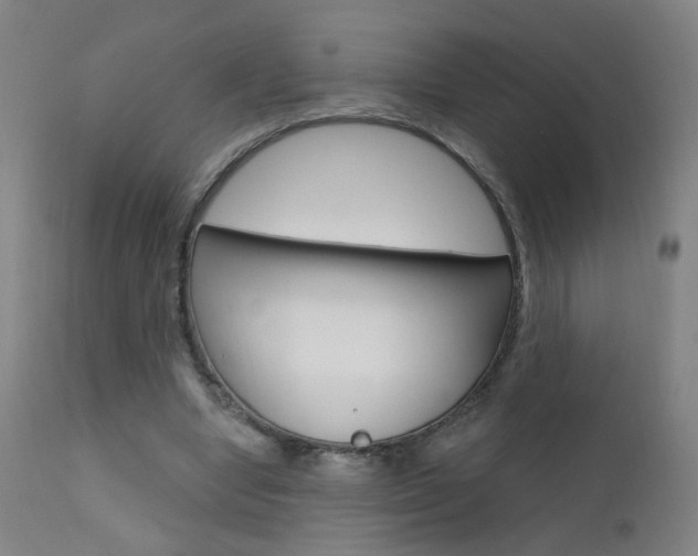 X0000111610442200907171043