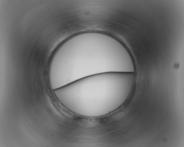 X0000111610443200907171043