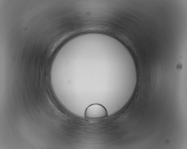 X0000111610444200907171043
