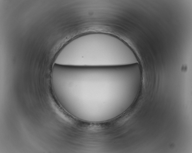 X0000111610445200907171043