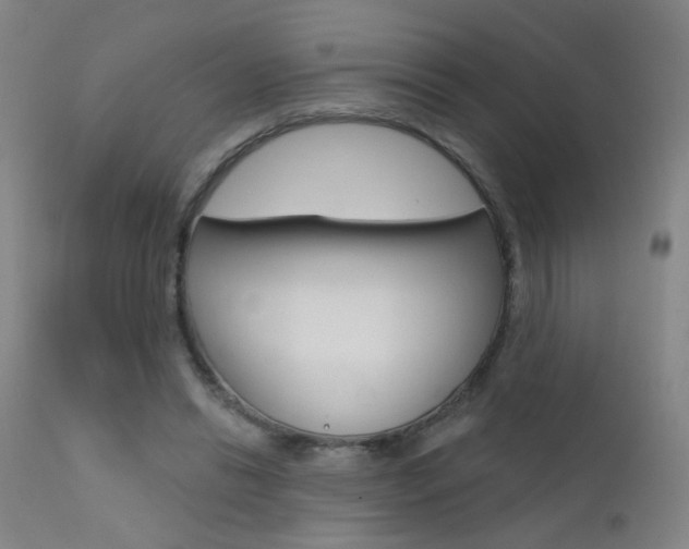 X0000111610446200907171043