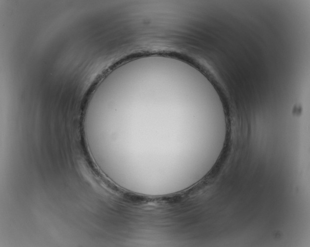 X0000111610447200907171043