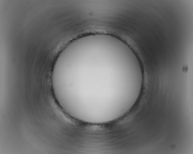 X0000111610449200907171043