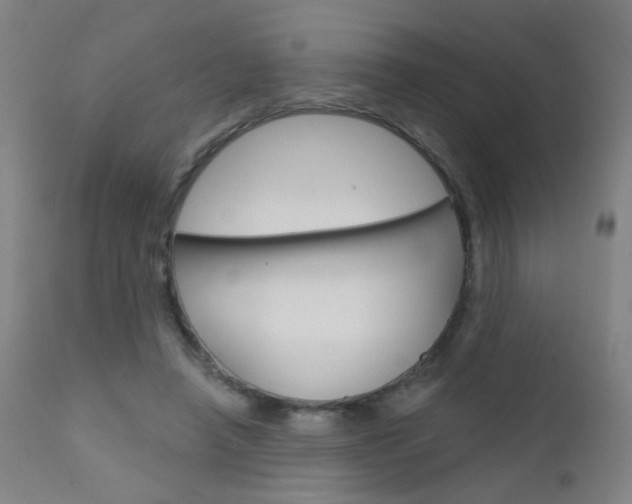 X0000111610450200907171043