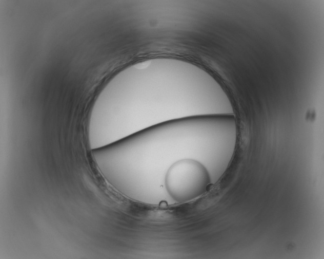 X0000111610451200907171043