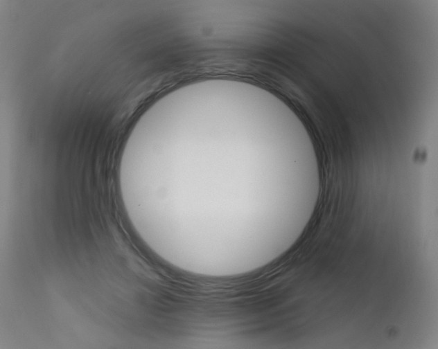 X0000111610452200907171043