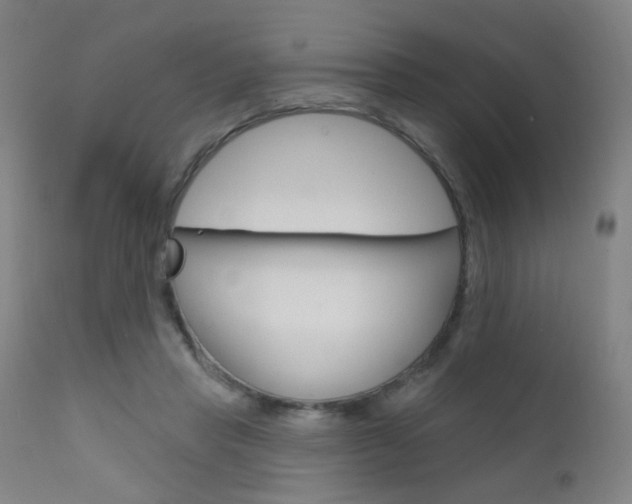 X0000111610453200907171043