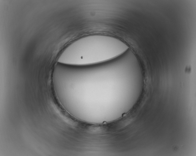 X0000111610454200907171043