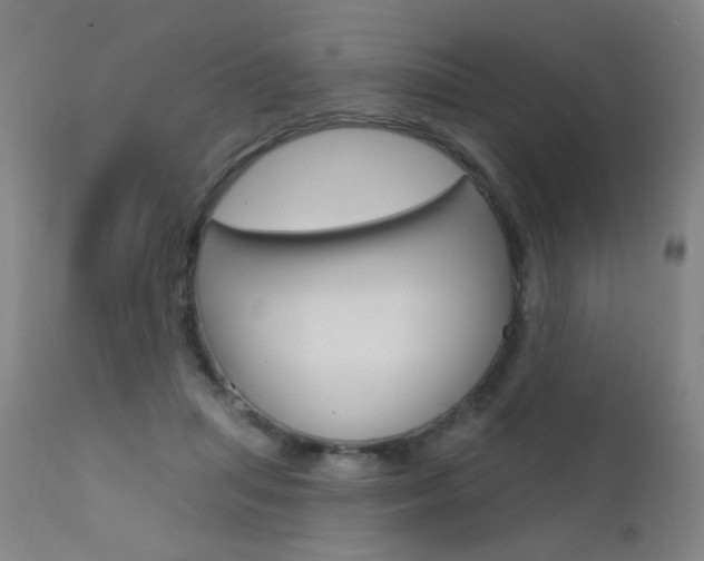 X0000111610455200907171043