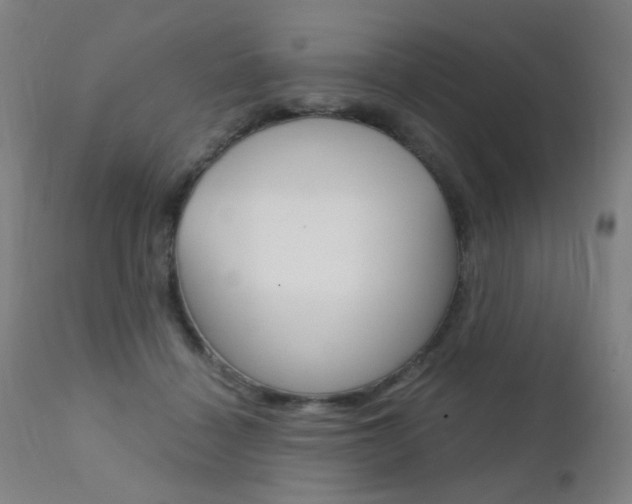 X0000111610460200907171043