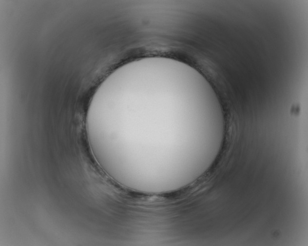 X0000111610463200907171043