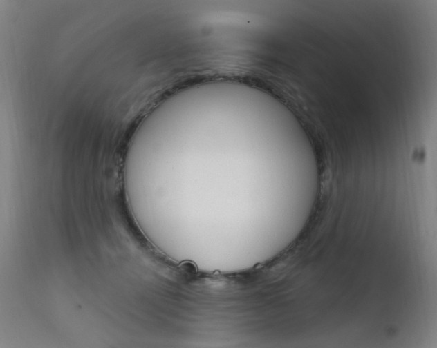 X0000111610464200907171043
