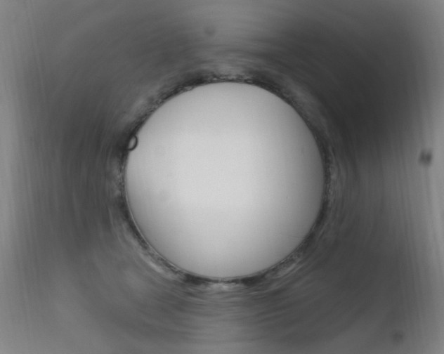 X0000111610465200907171043
