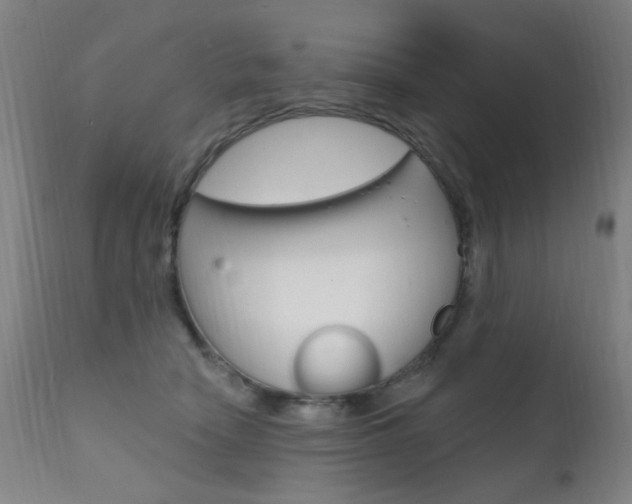 X0000111610466200907171043