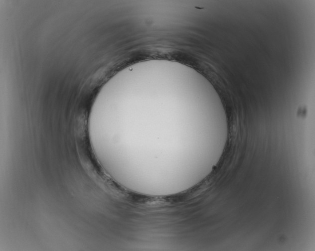 X0000111610468200907171043