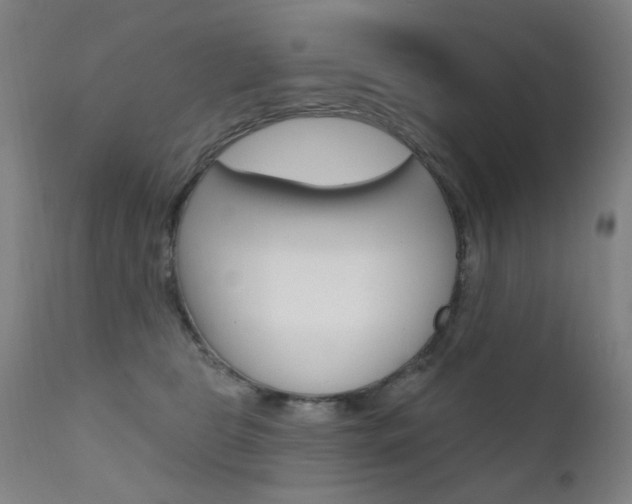 X0000111610469200907171043