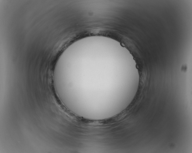 X0000111610470200907171044