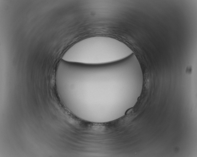 X0000111610471200907171044