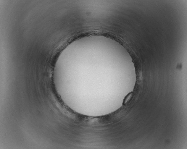 X0000111610472200907171044