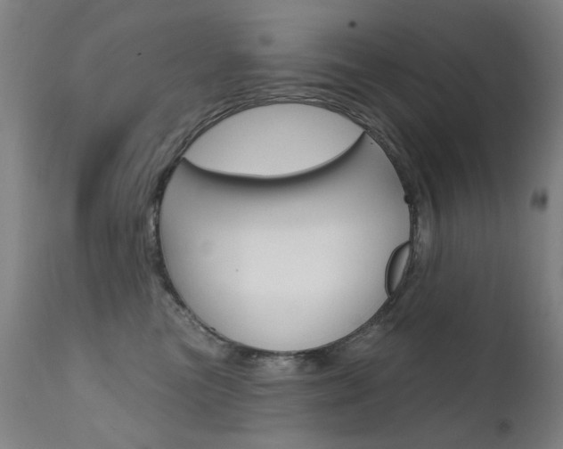 X0000111610473200907171044