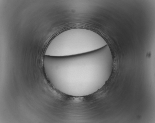 X0000111610474200907171044