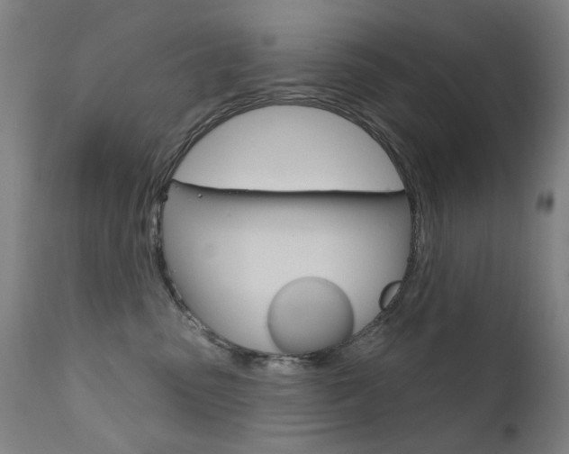 X0000111610475200907171044