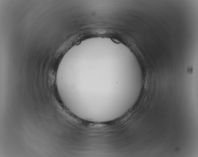 X0000111610476200907171044