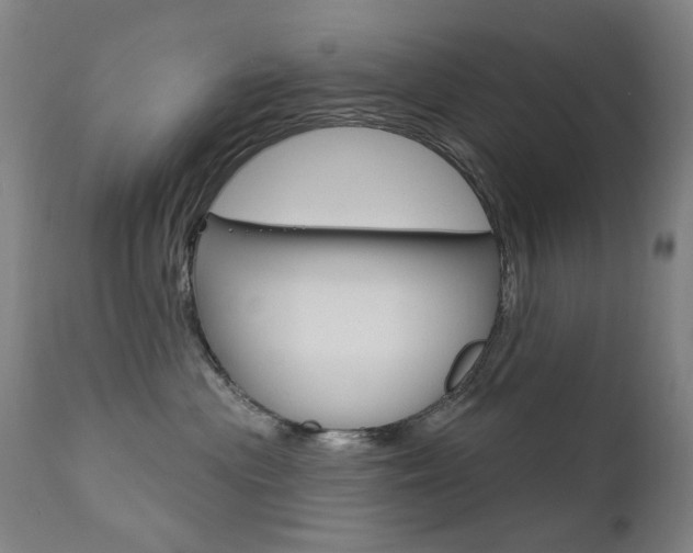 X0000111610477200907171044