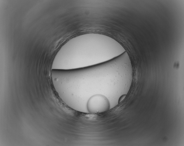 X0000111610478200907171044