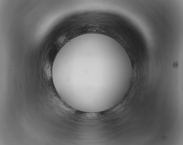 X0000111610479200907171044