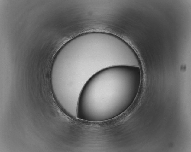 X0000111610481200907171043