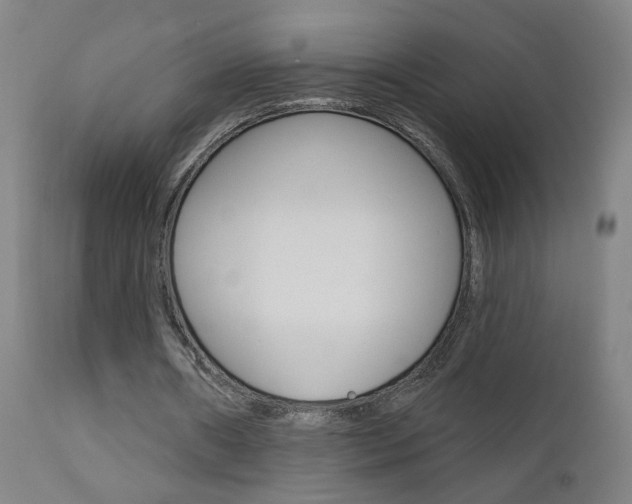 X0000111610482200907171043