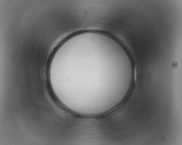 X0000111610483200907171043
