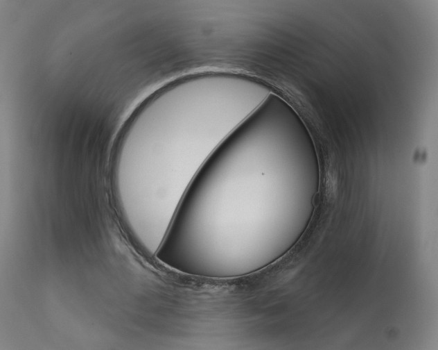 X0000111610484200907171043