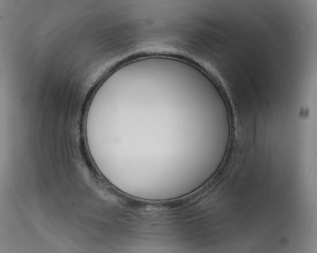 X0000111610487200907171043