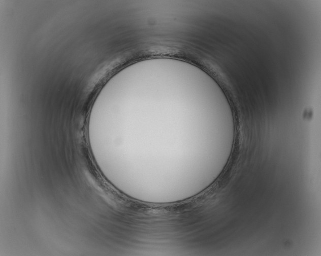X0000111610490200907171043