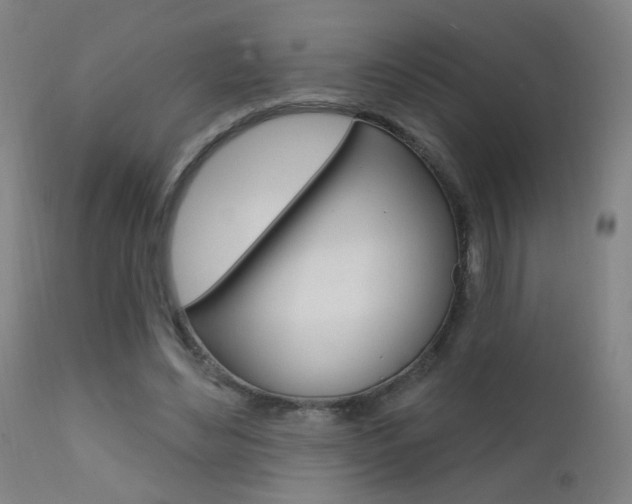 X0000111610492200907171043