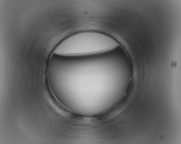 X0000111610493200907171043