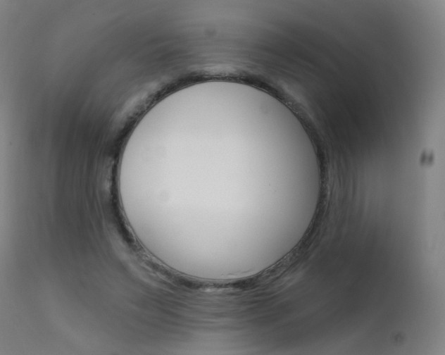 X0000111610495200907171043