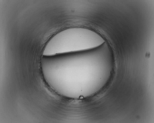 X0000111610497200907171043