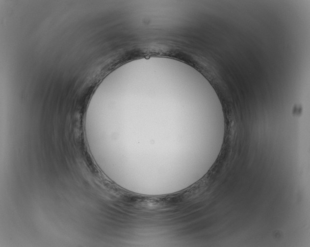 X0000111610498200907171043
