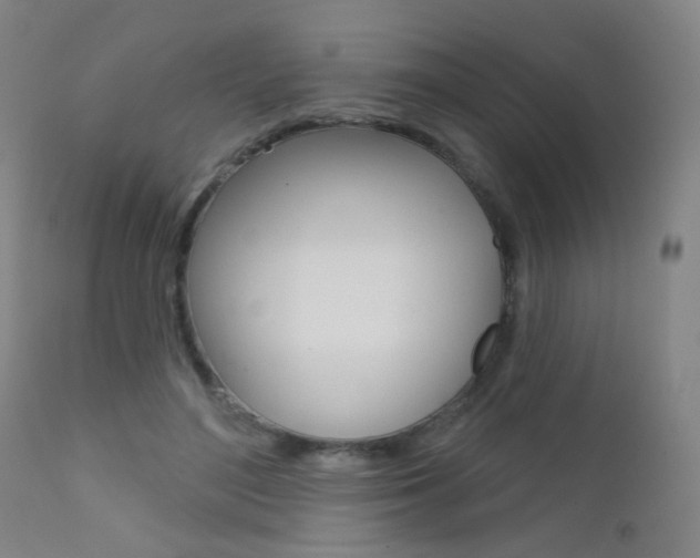 X0000111610500200907171043