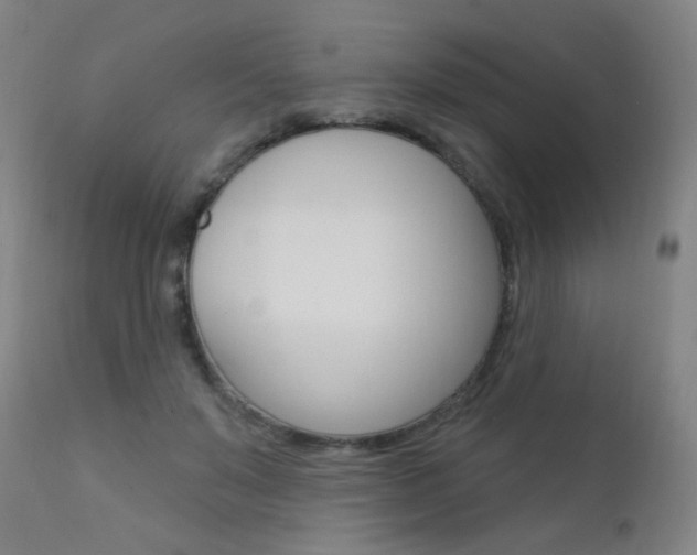 X0000111610503200907171043
