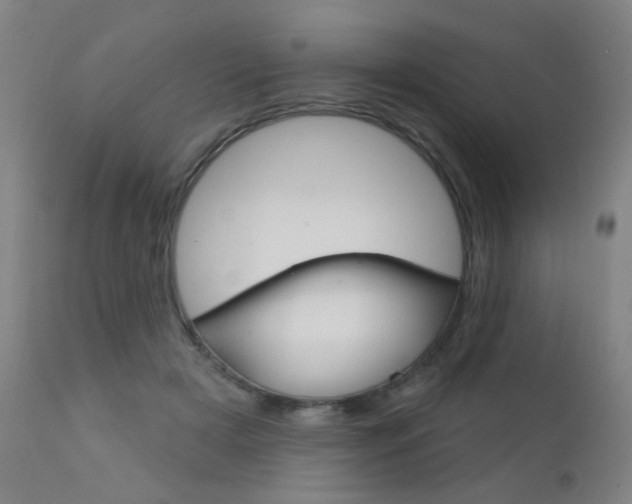 X0000111610505200907171042