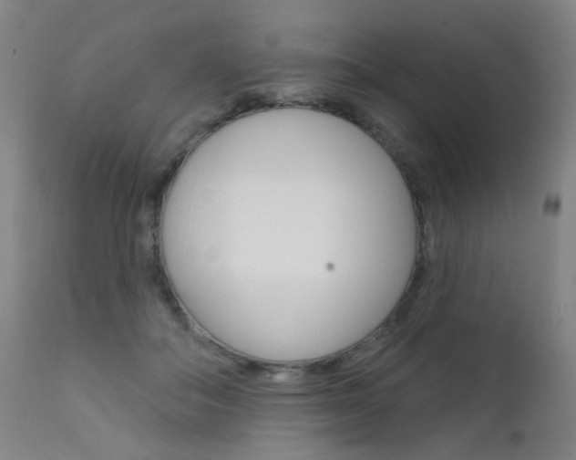 X0000111610506200907171042